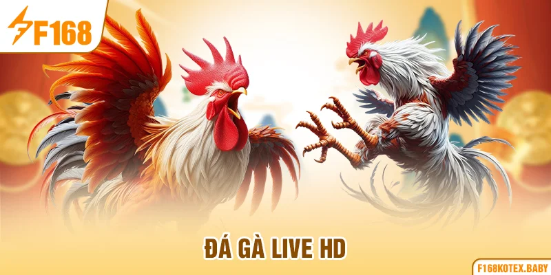 Đá gà live HD
