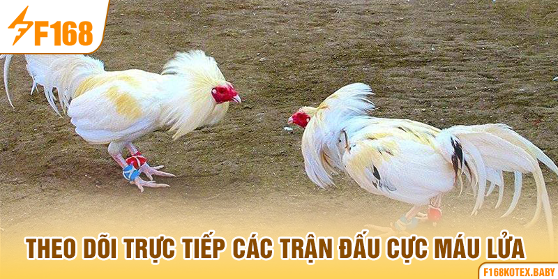 Theo dõi trực tiếp các trận đấu cực máu lửa